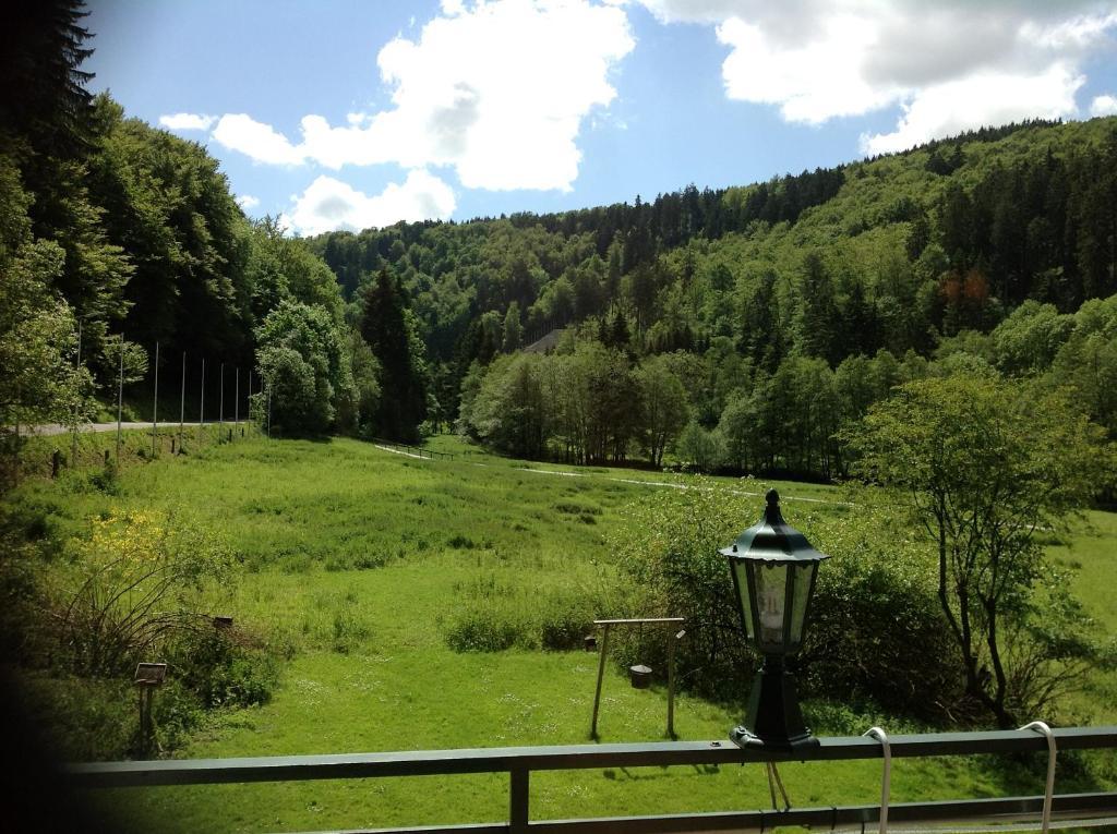 Hotel-Pension Zum Paradies Willingen  Ngoại thất bức ảnh